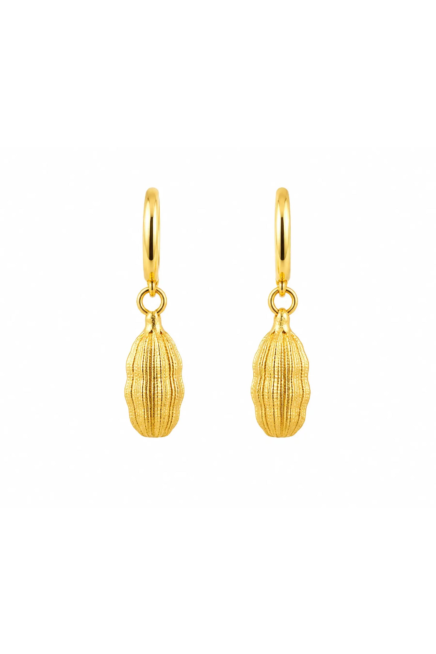 Golden Cardamom Drop Hoop Earrings
