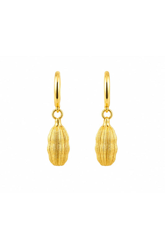 Golden Cardamom Drop Hoop Earrings