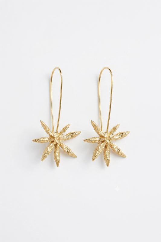 Kalliyane Earrings