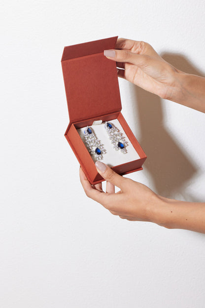 Blue Frost Earrings