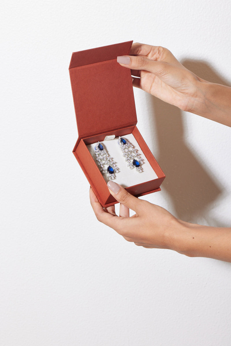 Blue Frost Earrings
